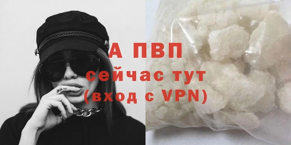 PSILOCYBIN Белоозёрский