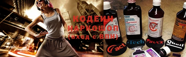 тгк Богданович