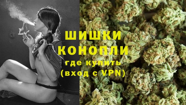 PSILOCYBIN Белоозёрский